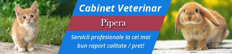 Vetzone - cabinet veterinar